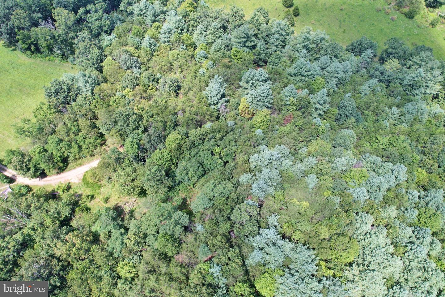 ALUM SPRINGS RD, EDINBURG, Virginia 22824, ,Land,For Sale,ALUM SPRINGS RD,VASH2013330 MLS # VASH2013330