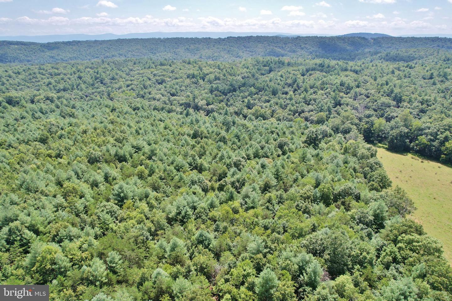 ALUM SPRINGS RD, EDINBURG, Virginia 22824, ,Land,For Sale,ALUM SPRINGS RD,VASH2013330 MLS # VASH2013330