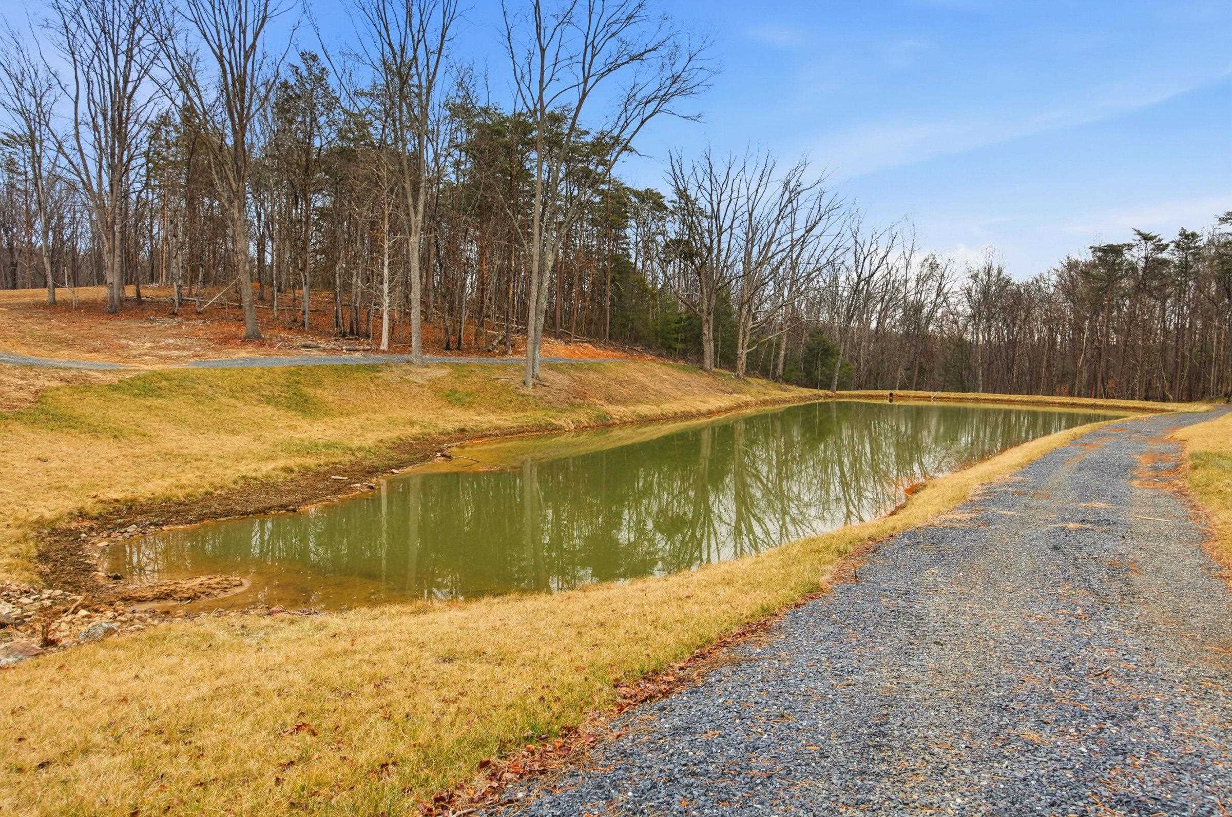 709 STULTZ GAP RD, EDINBURG, Virginia 22824, ,Land,14,709 STULTZ GAP RD,672365 MLS # 672365 709 STULTZ GAP RD, EDINBURG, Virginia 22824, ,Land,14,709 STULTZ GAP RD,672365 MLS # 672365