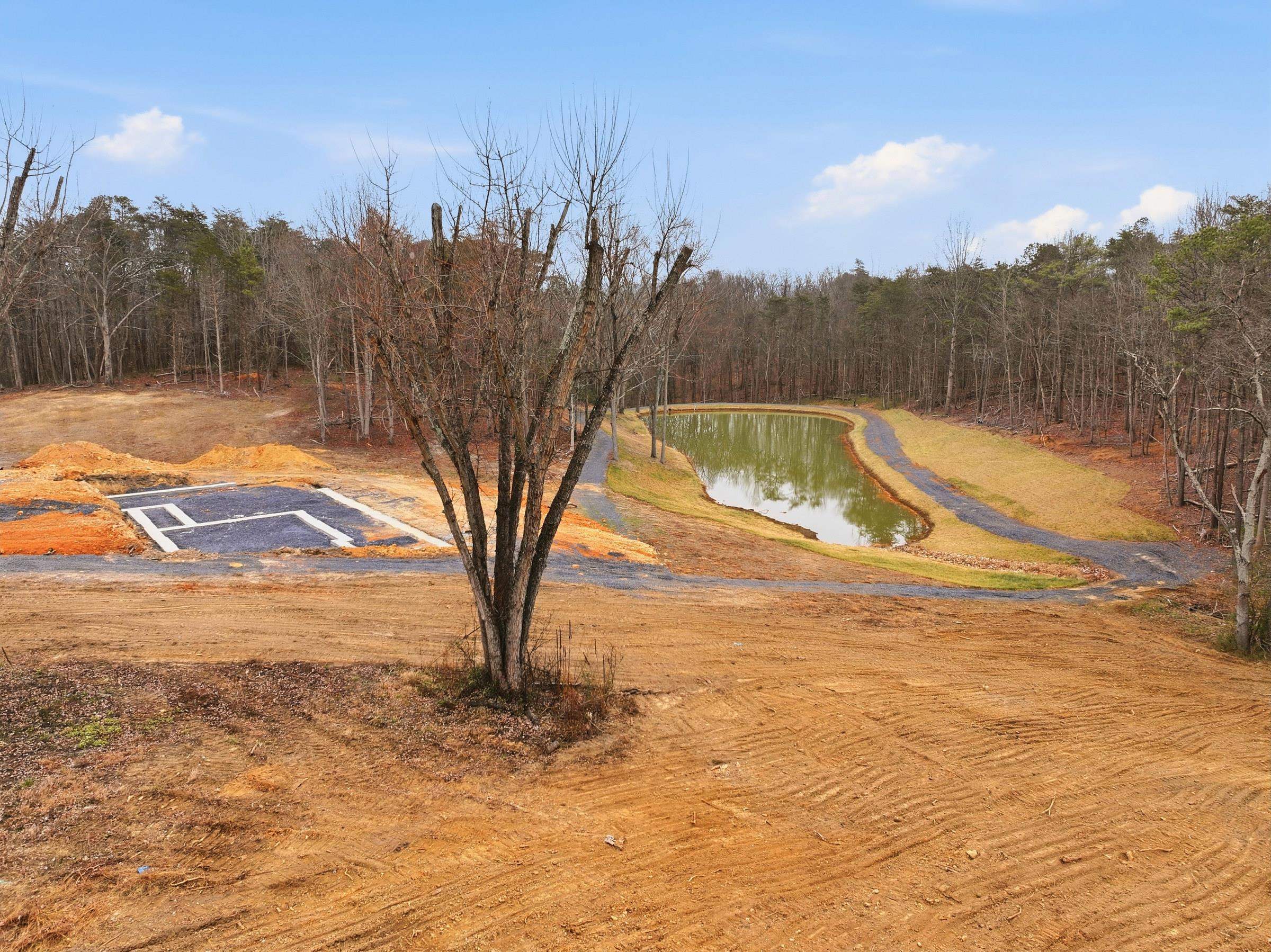 709 STULTZ GAP RD, EDINBURG, Virginia 22824, ,Land,14,709 STULTZ GAP RD,672365 MLS # 672365 709 STULTZ GAP RD, EDINBURG, Virginia 22824, ,Land,14,709 STULTZ GAP RD,672365 MLS # 672365