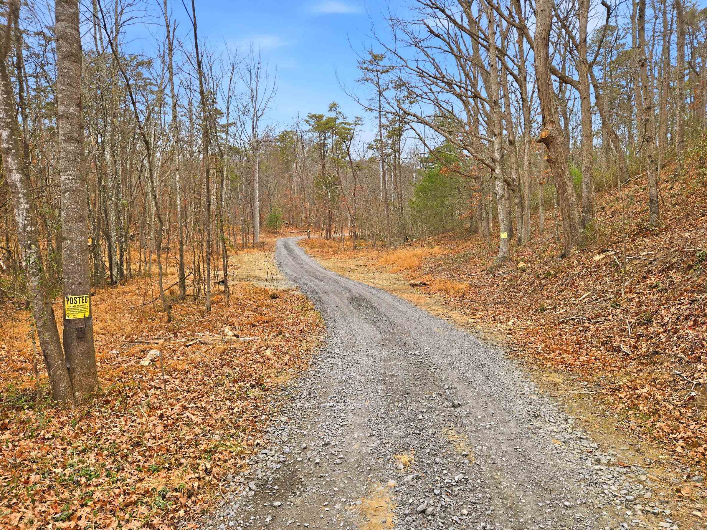 709 STULTZ GAP RD, EDINBURG, Virginia 22824, ,Land,14,709 STULTZ GAP RD,672365 MLS # 672365 709 STULTZ GAP RD, EDINBURG, Virginia 22824, ,Land,14,709 STULTZ GAP RD,672365 MLS # 672365