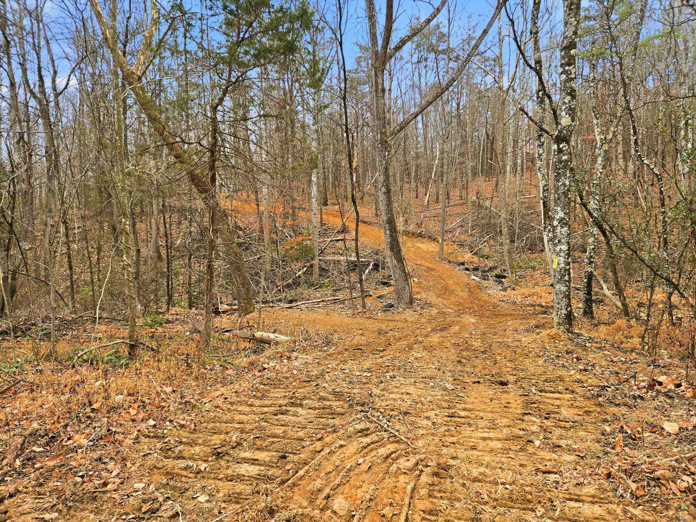 709 STULTZ GAP RD, EDINBURG, Virginia 22824, ,Land,14,709 STULTZ GAP RD,672365 MLS # 672365 709 STULTZ GAP RD, EDINBURG, Virginia 22824, ,Land,14,709 STULTZ GAP RD,672365 MLS # 672365