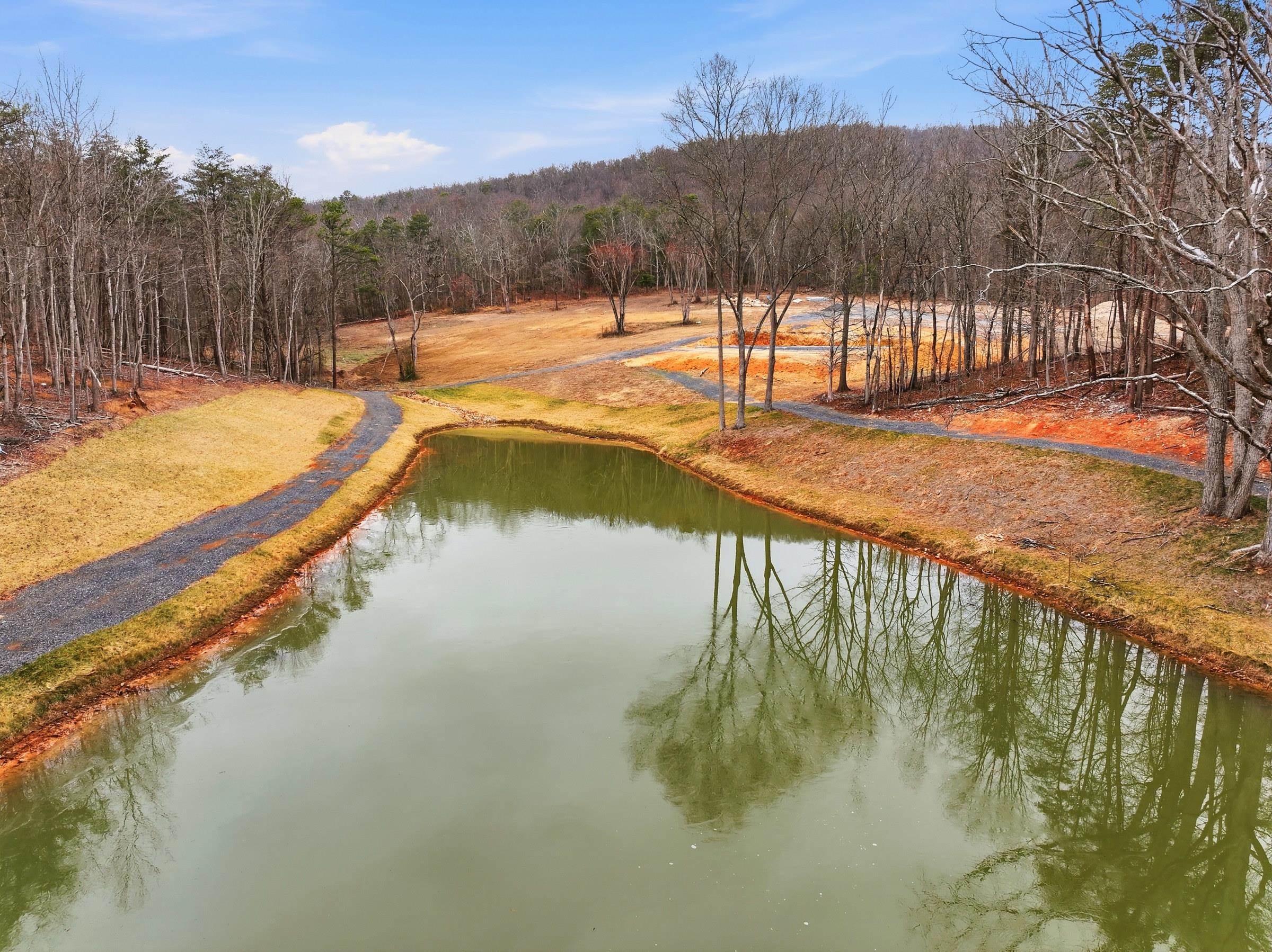 709 STULTZ GAP RD, EDINBURG, Virginia 22824, ,Land,14,709 STULTZ GAP RD,672365 MLS # 672365 709 STULTZ GAP RD, EDINBURG, Virginia 22824, ,Land,14,709 STULTZ GAP RD,672365 MLS # 672365