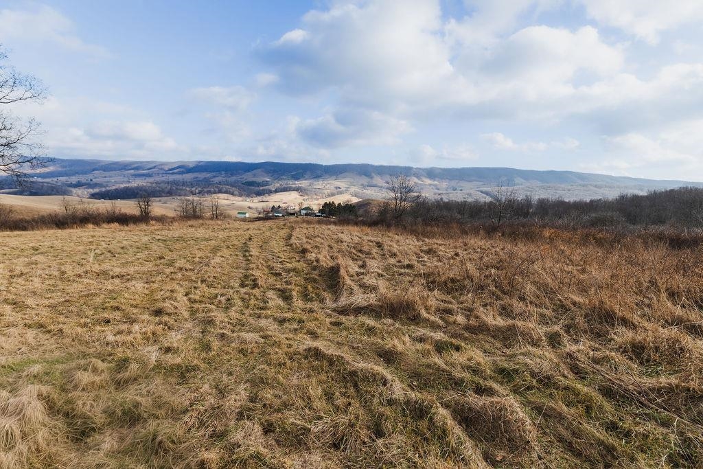 tbd BLUE GRASS VALLEY RD, MONTEREY, Virginia 24465, ,Farm,14,tbd BLUE GRASS VALLEY RD,672390 MLS # 672390