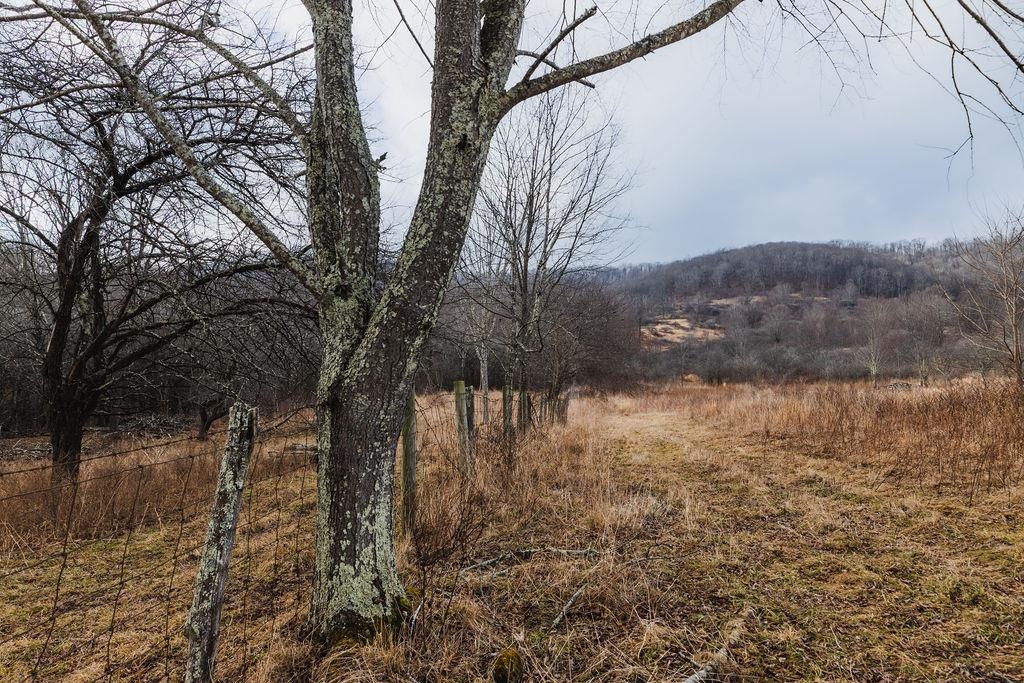 tbd BLUE GRASS VALLEY RD, MONTEREY, Virginia 24465, ,Farm,14,tbd BLUE GRASS VALLEY RD,672390 MLS # 672390