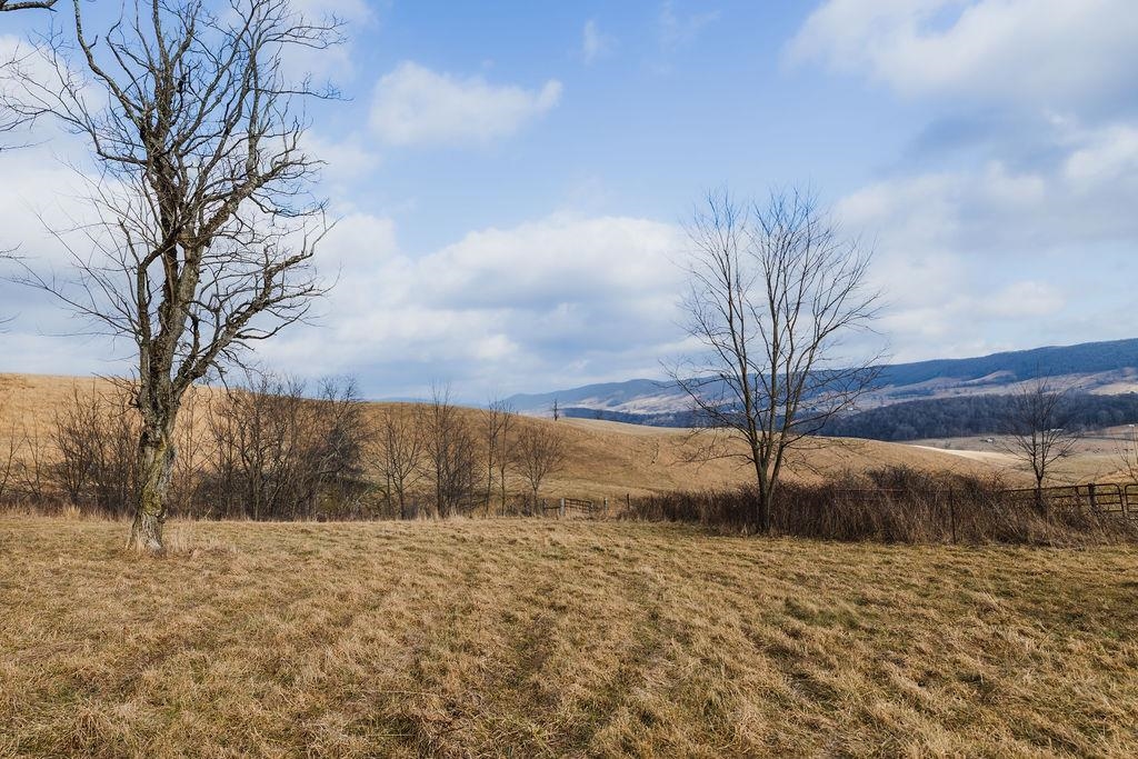 tbd BLUE GRASS VALLEY RD, MONTEREY, Virginia 24465, ,Farm,14,tbd BLUE GRASS VALLEY RD,672390 MLS # 672390