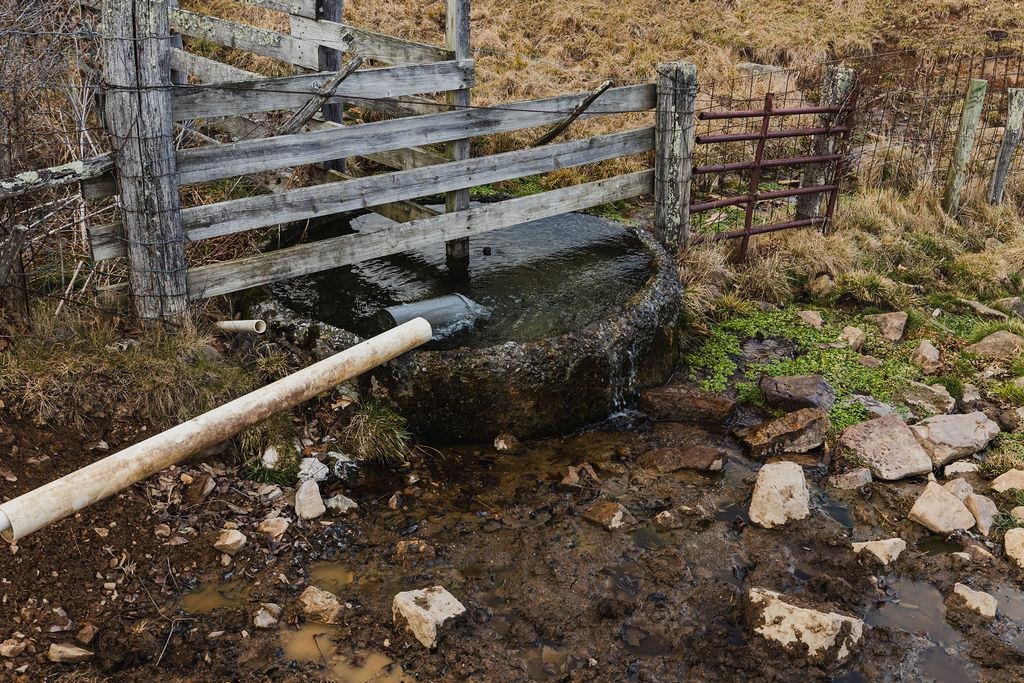 tbd BLUE GRASS VALLEY RD, MONTEREY, Virginia 24465, ,Farm,14,tbd BLUE GRASS VALLEY RD,672390 MLS # 672390