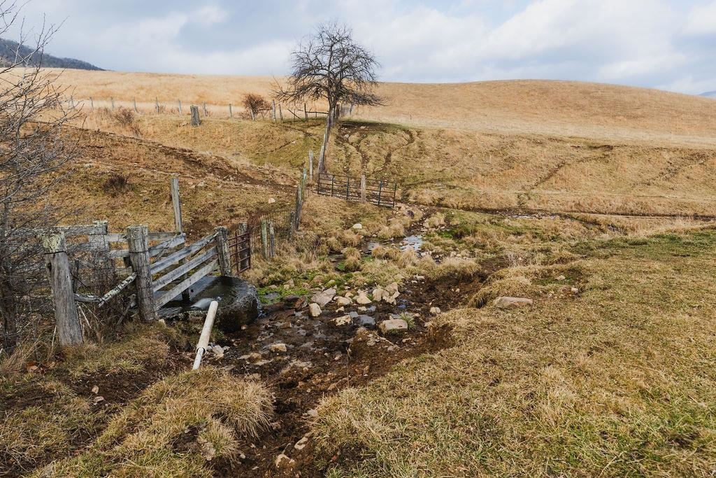 tbd BLUE GRASS VALLEY RD, MONTEREY, Virginia 24465, ,Farm,14,tbd BLUE GRASS VALLEY RD,672390 MLS # 672390