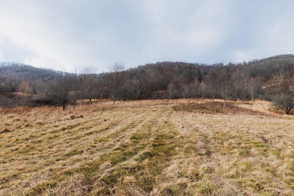 tbd BLUE GRASS VALLEY RD, MONTEREY, Virginia 24465, ,Farm,14,tbd BLUE GRASS VALLEY RD,672390 MLS # 672390