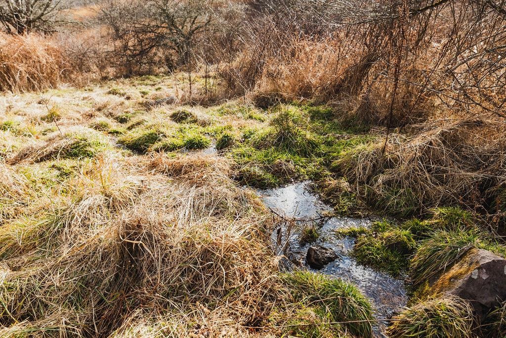 tbd BLUE GRASS VALLEY RD, MONTEREY, Virginia 24465, ,Farm,14,tbd BLUE GRASS VALLEY RD,672390 MLS # 672390