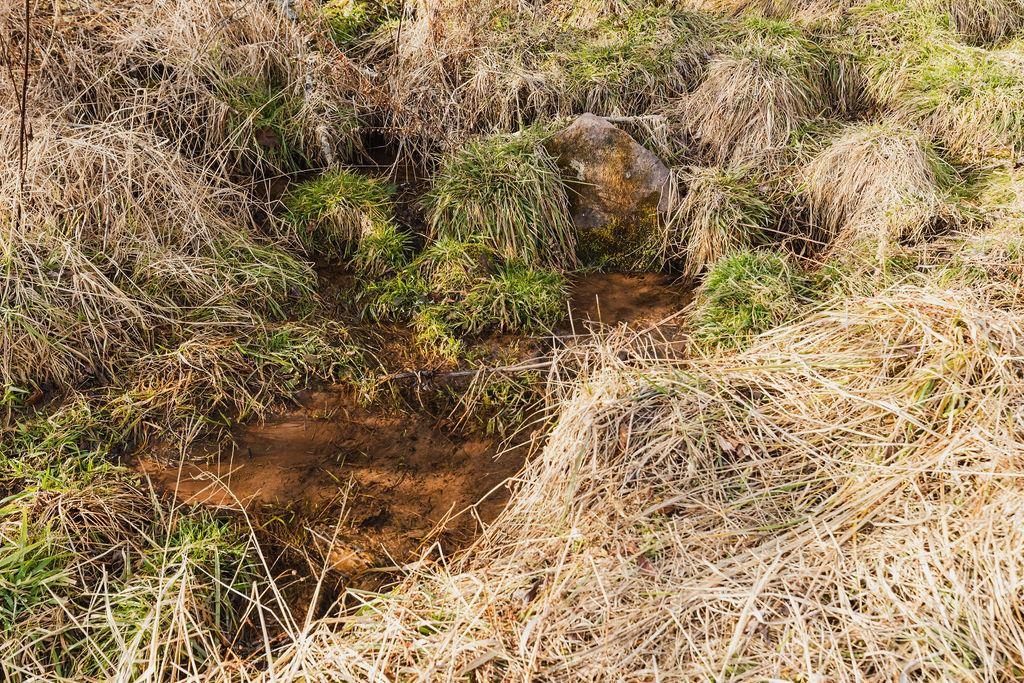 tbd BLUE GRASS VALLEY RD, MONTEREY, Virginia 24465, ,Farm,14,tbd BLUE GRASS VALLEY RD,672390 MLS # 672390