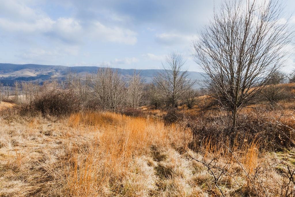 tbd BLUE GRASS VALLEY RD, MONTEREY, Virginia 24465, ,Farm,14,tbd BLUE GRASS VALLEY RD,672390 MLS # 672390