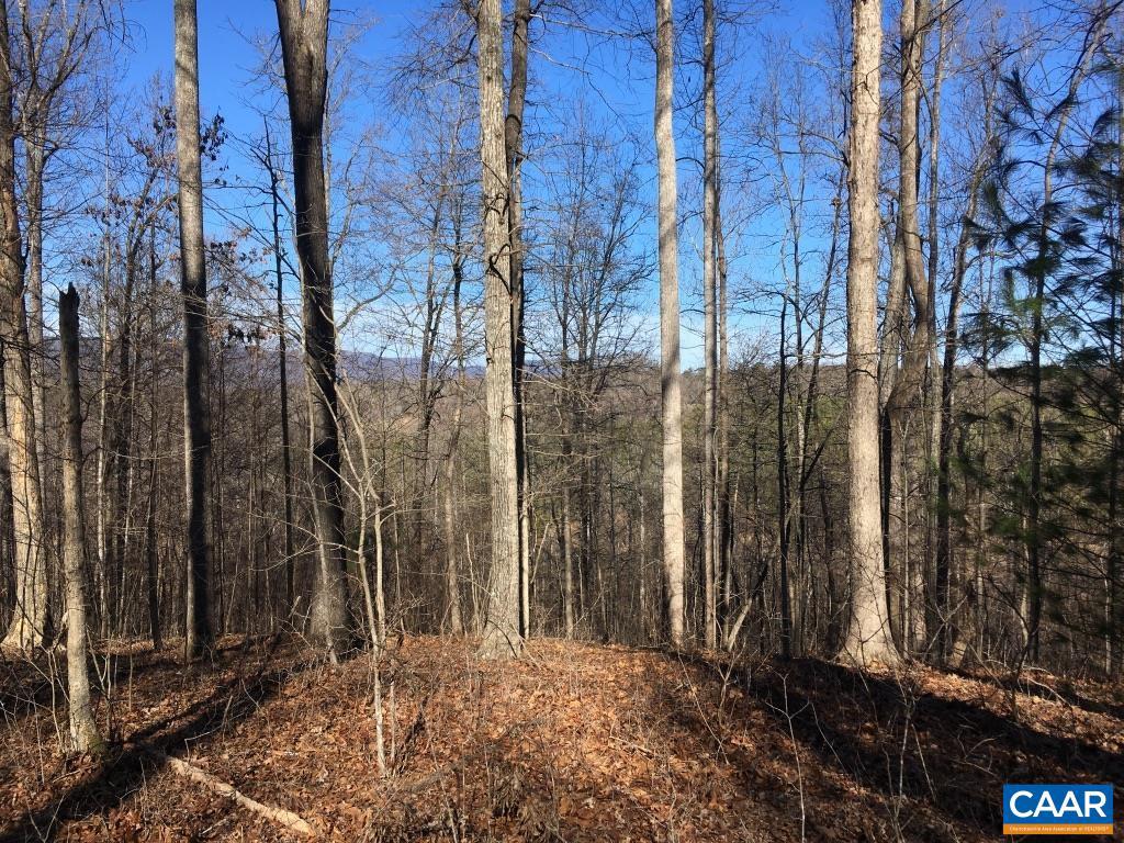 0 BATESVILLE RD, AFTON, Virginia 22920, ,Farm,For Sale,0 BATESVILLE RD,672412 MLS # 672412 0 BATESVILLE RD, AFTON, Virginia 22920, ,Farm,For Sale,0 BATESVILLE RD,672412 MLS # 672412
