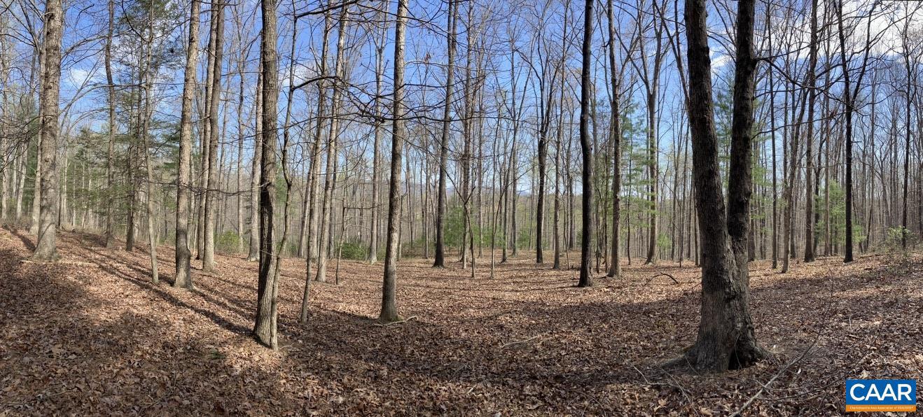 0 BATESVILLE RD, AFTON, Virginia 22920, ,Farm,For Sale,0 BATESVILLE RD,672412 MLS # 672412 0 BATESVILLE RD, AFTON, Virginia 22920, ,Farm,For Sale,0 BATESVILLE RD,672412 MLS # 672412