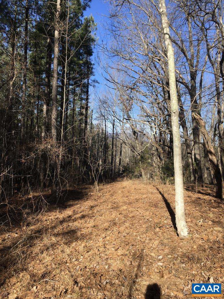 0 BATESVILLE RD, AFTON, Virginia 22920, ,Farm,For Sale,0 BATESVILLE RD,672412 MLS # 672412 0 BATESVILLE RD, AFTON, Virginia 22920, ,Farm,For Sale,0 BATESVILLE RD,672412 MLS # 672412