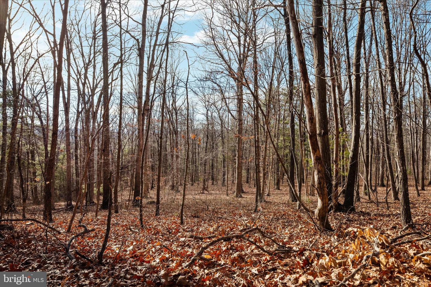 CATRON RIDGE ROAD, BENTONVILLE, Virginia 22610, ,Land,For Sale,CATRON RIDGE ROAD,VAWR2013110 MLS # VAWR2013110