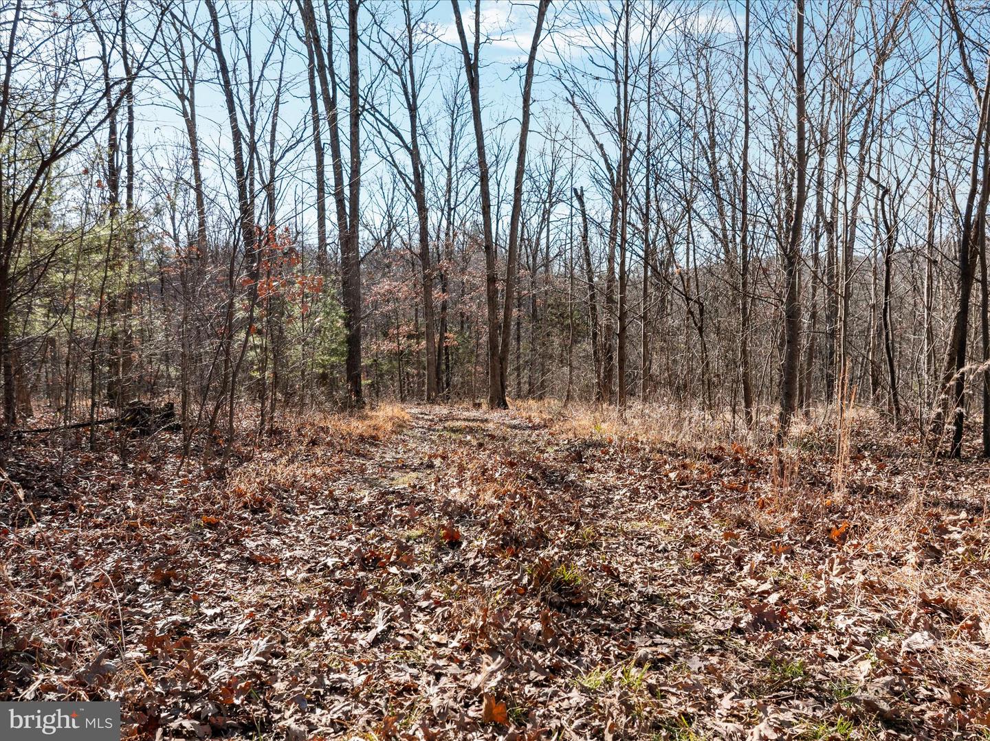 CATRON RIDGE ROAD, BENTONVILLE, Virginia 22610, ,Land,For Sale,CATRON RIDGE ROAD,VAWR2013110 MLS # VAWR2013110