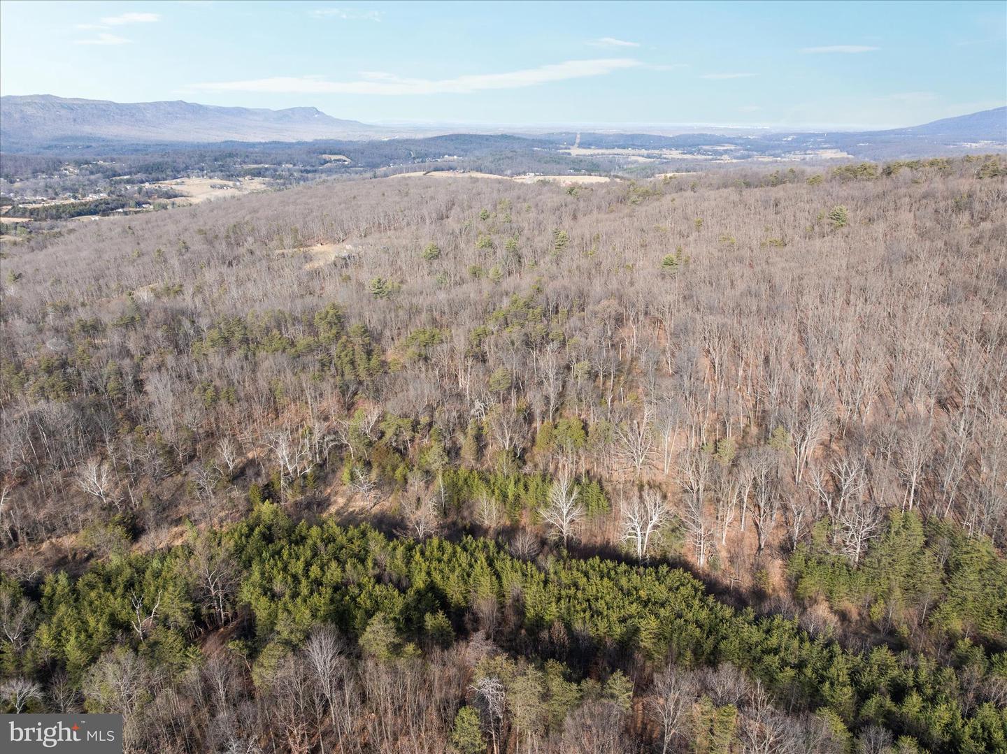 CATRON RIDGE ROAD, BENTONVILLE, Virginia 22610, ,Land,For Sale,CATRON RIDGE ROAD,VAWR2013110 MLS # VAWR2013110