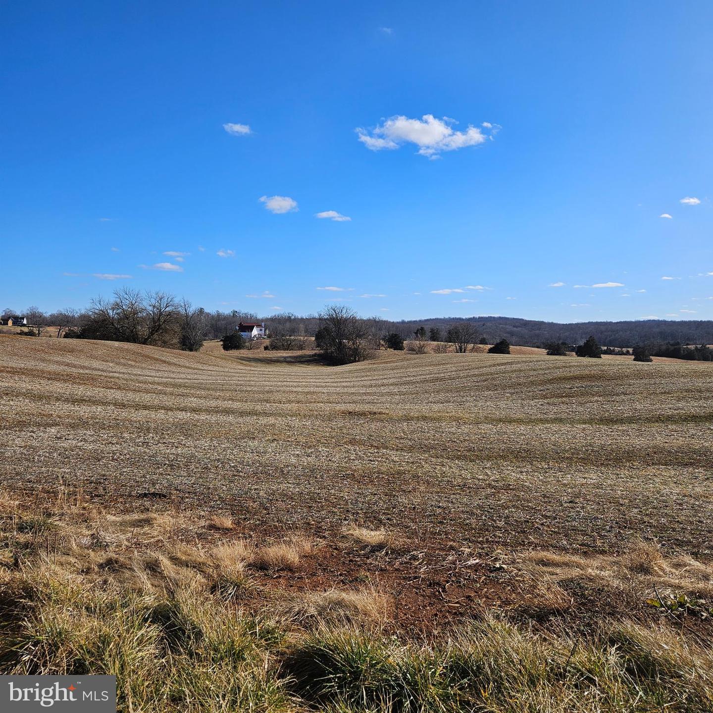 0 RYLAND CHAPEL RD, RIXEYVILLE, Virginia 22737, ,Land,For Sale,0 RYLAND CHAPEL RD,VACU2012446 MLS # VACU2012446