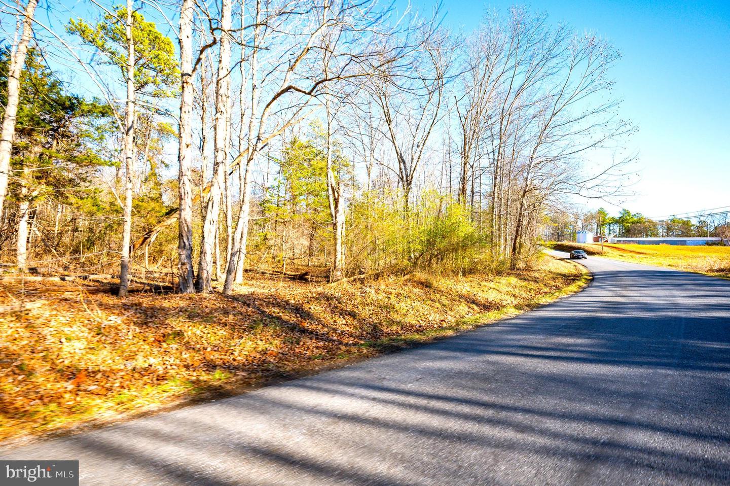 00 REDFIELDS RD, APPOMATTOX, Virginia 24522, ,Farm,For Sale,00 REDFIELDS RD,VAAV2000048 MLS # VAAV2000048