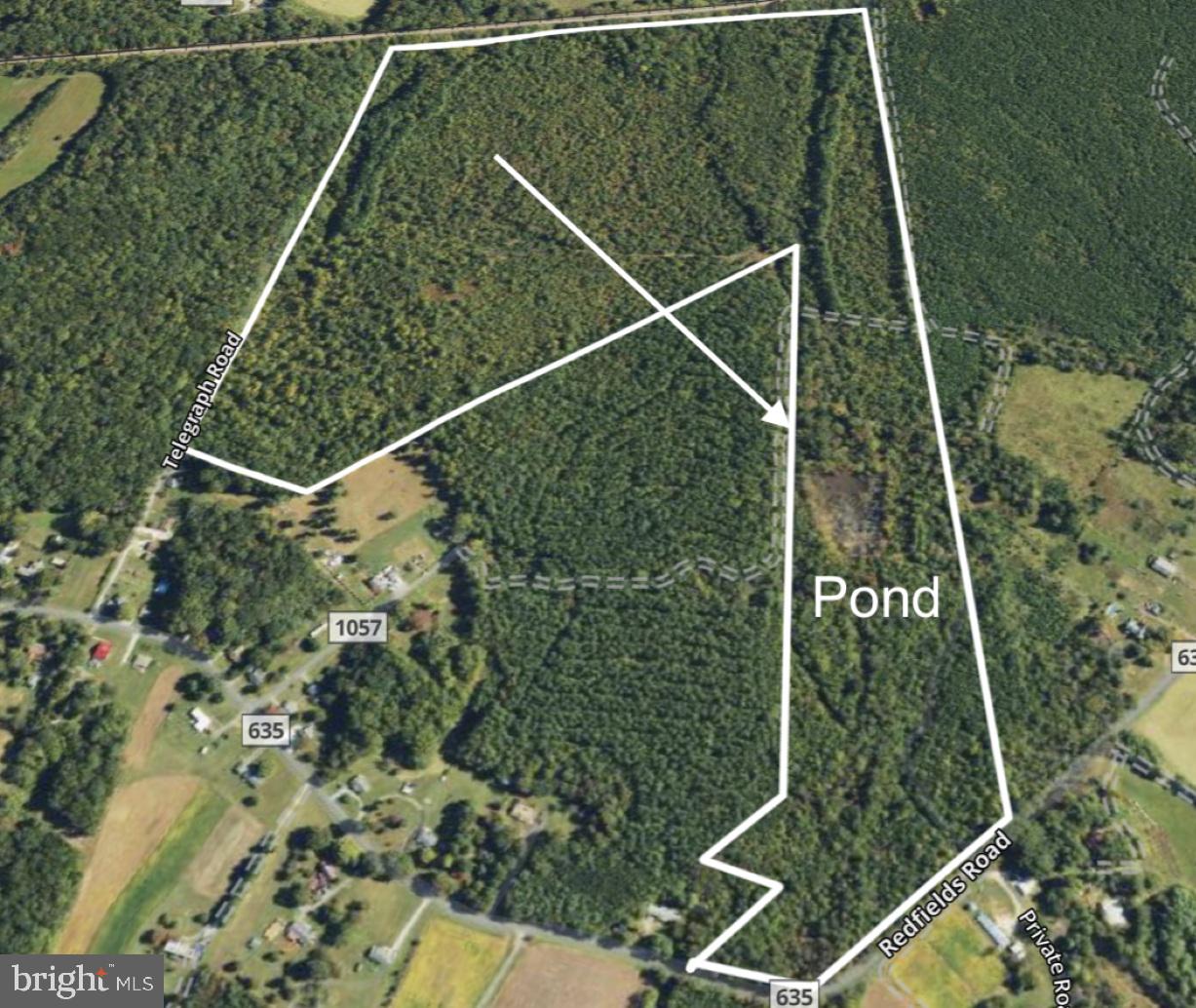 00 REDFIELDS RD, APPOMATTOX, Virginia 24522, ,Farm,For Sale,00 REDFIELDS RD,VAAV2000048 MLS # VAAV2000048