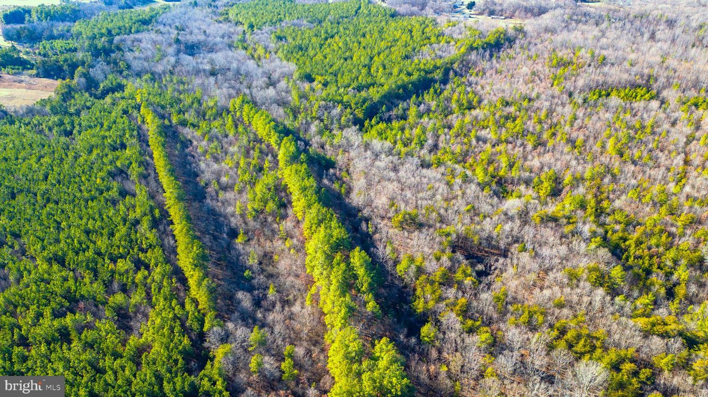 00 REDFIELDS RD, APPOMATTOX, Virginia 24522, ,Farm,For Sale,00 REDFIELDS RD,VAAV2000048 MLS # VAAV2000048