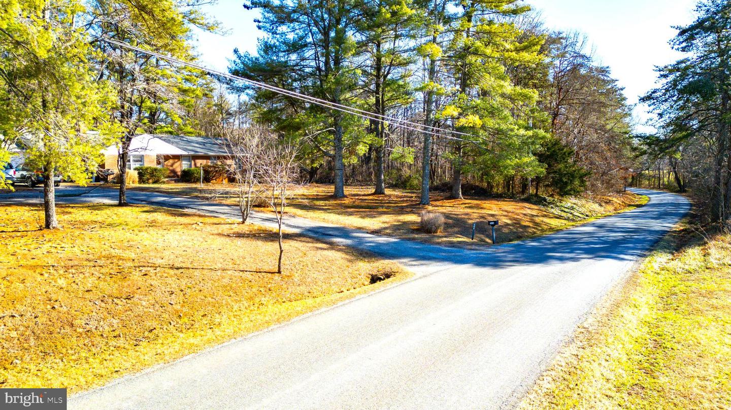 00 REDFIELDS RD, APPOMATTOX, Virginia 24522, ,Farm,For Sale,00 REDFIELDS RD,VAAV2000048 MLS # VAAV2000048