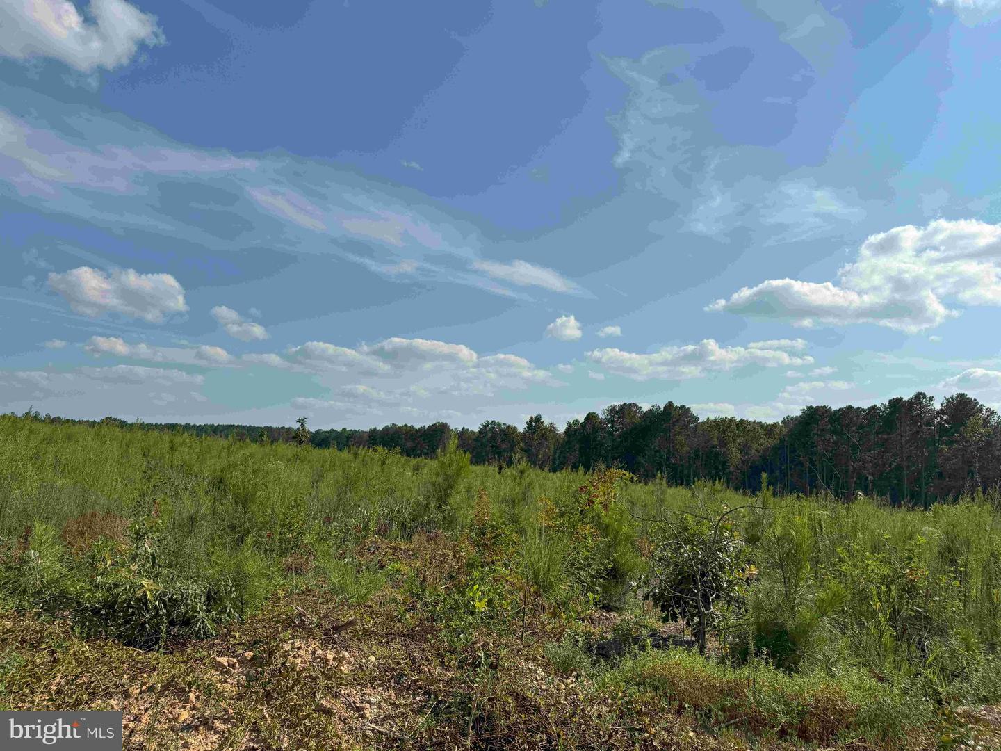 HOLLAND ROAD (TRACT: JR BEDFORD-BOWLES_SIMS-1), COLUMBIA, Virginia 23038, ,Farm,For Sale,HOLLAND ROAD (TRACT: JR BEDFORD-BOWLES_SIMS-1),VAFN2000516 MLS # VAFN2000516