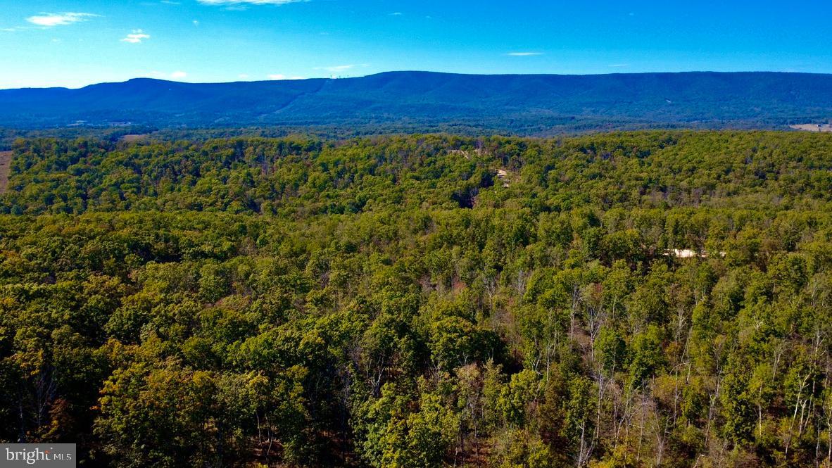 152.44 ACRES LOT 2 LAUREL GROVE RD, WINCHESTER, Virginia 22602, 3 Bedrooms Bedrooms, ,2 BathroomsBathrooms,Residential,For Sale,152.44 ACRES LOT 2 LAUREL GROVE RD,VAFV2038842 MLS # VAFV2038842