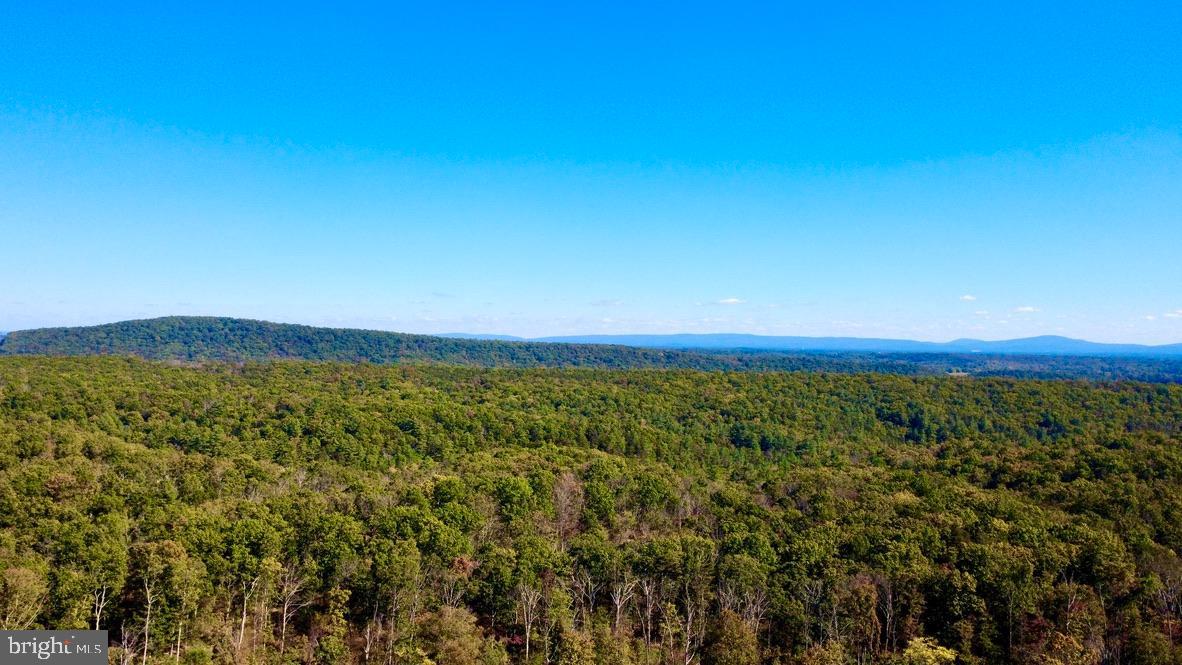 152.44 ACRES LOT 2 LAUREL GROVE RD, WINCHESTER, Virginia 22602, 3 Bedrooms Bedrooms, ,2 BathroomsBathrooms,Residential,For Sale,152.44 ACRES LOT 2 LAUREL GROVE RD,VAFV2038842 MLS # VAFV2038842