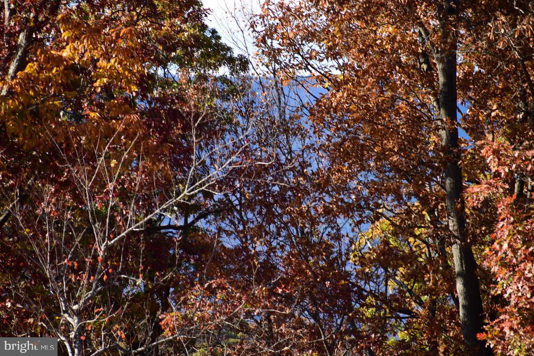 152.44 ACRES LOT 2 LAUREL GROVE RD, WINCHESTER, Virginia 22602, 3 Bedrooms Bedrooms, ,2 BathroomsBathrooms,Residential,For Sale,152.44 ACRES LOT 2 LAUREL GROVE RD,VAFV2038842 MLS # VAFV2038842