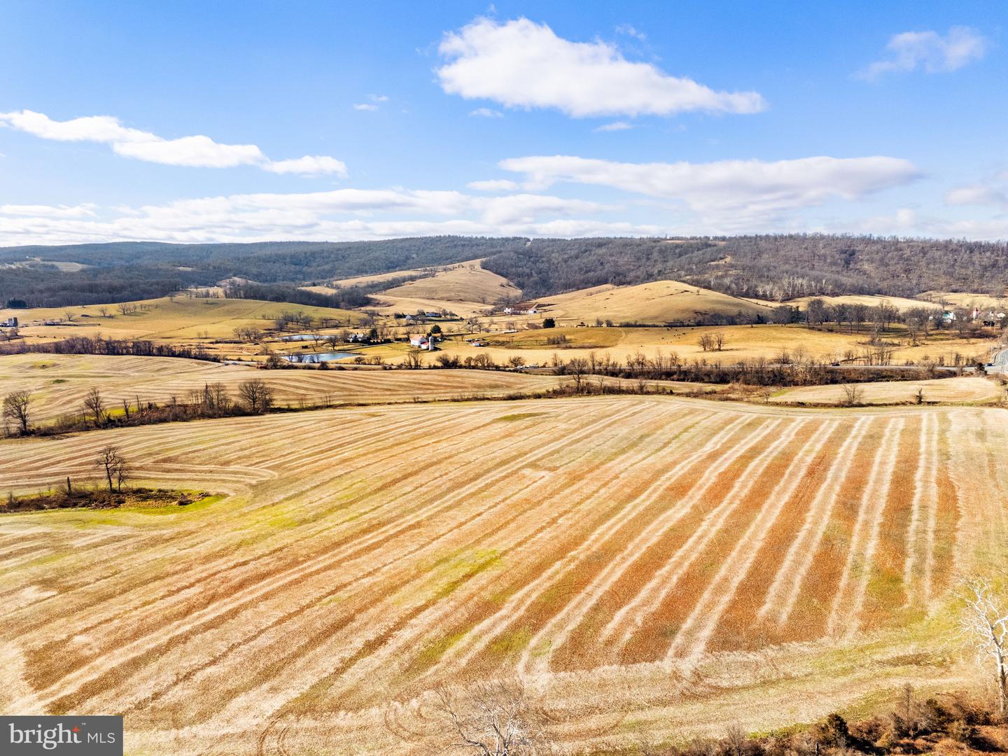 1041 WINCHESTER RD, PARIS, Virginia 20130, ,Farm,For Sale,1041 WINCHESTER RD,VAFQ2020142 MLS # VAFQ2020142