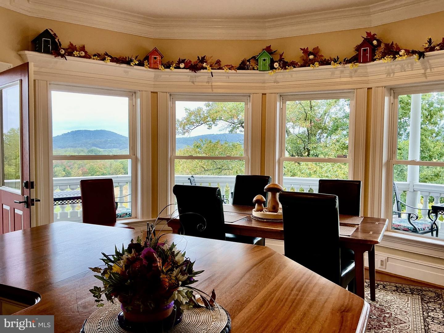 65 CLARK LN, WASHINGTON, Virginia 22747, 6 Bedrooms Bedrooms, ,10 BathroomsBathrooms,Residential,For Sale,65 CLARK LN,VARP2002418 MLS # VARP2002418 65 CLARK LN, WASHINGTON, Virginia 22747, 6 Bedrooms Bedrooms, ,10 BathroomsBathrooms,Residential,For Sale,65 CLARK LN,VARP2002418 MLS # VARP2002418