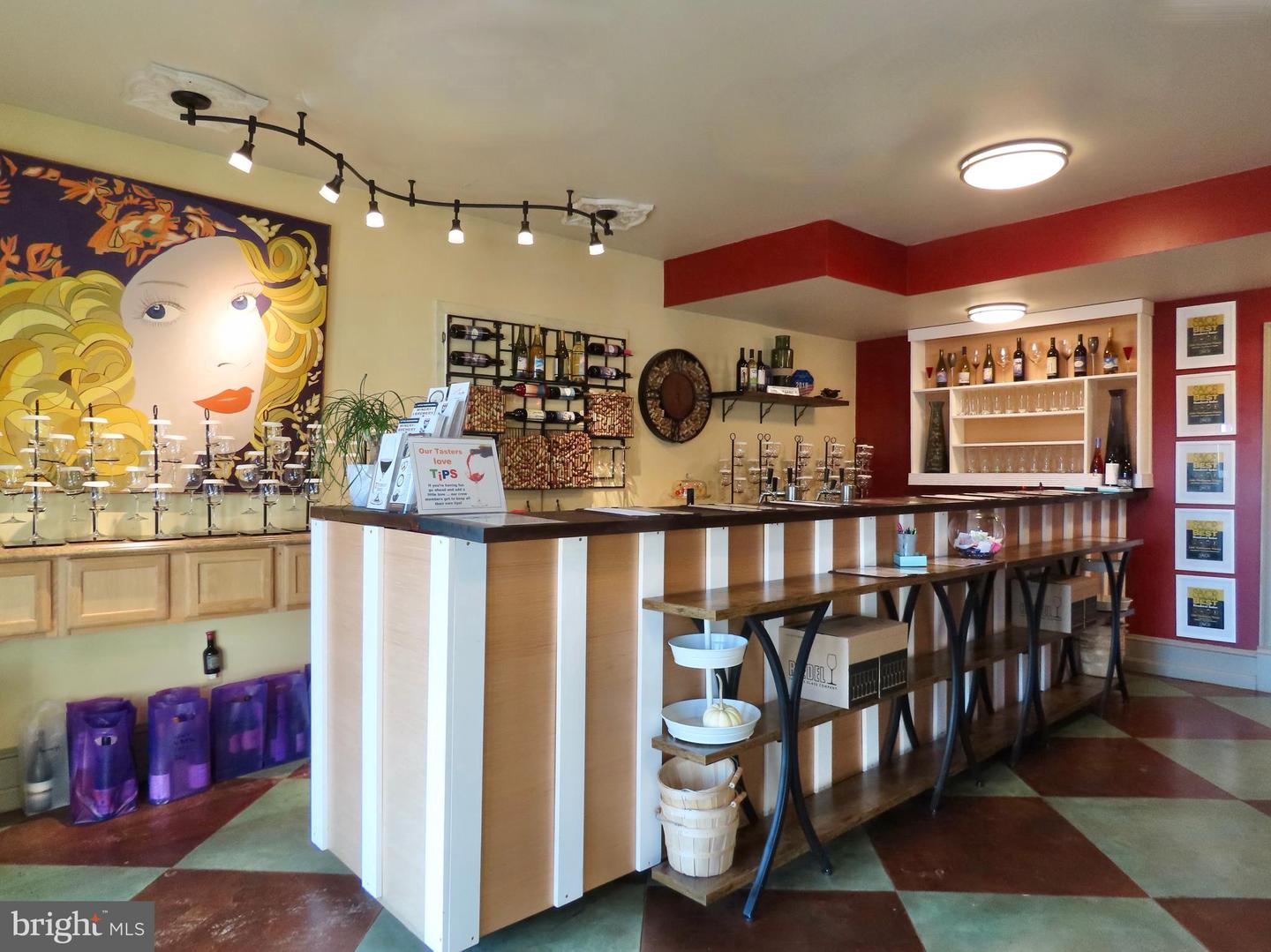 65 CLARK LN, WASHINGTON, Virginia 22747, 6 Bedrooms Bedrooms, ,10 BathroomsBathrooms,Residential,For Sale,65 CLARK LN,VARP2002418 MLS # VARP2002418 65 CLARK LN, WASHINGTON, Virginia 22747, 6 Bedrooms Bedrooms, ,10 BathroomsBathrooms,Residential,For Sale,65 CLARK LN,VARP2002418 MLS # VARP2002418