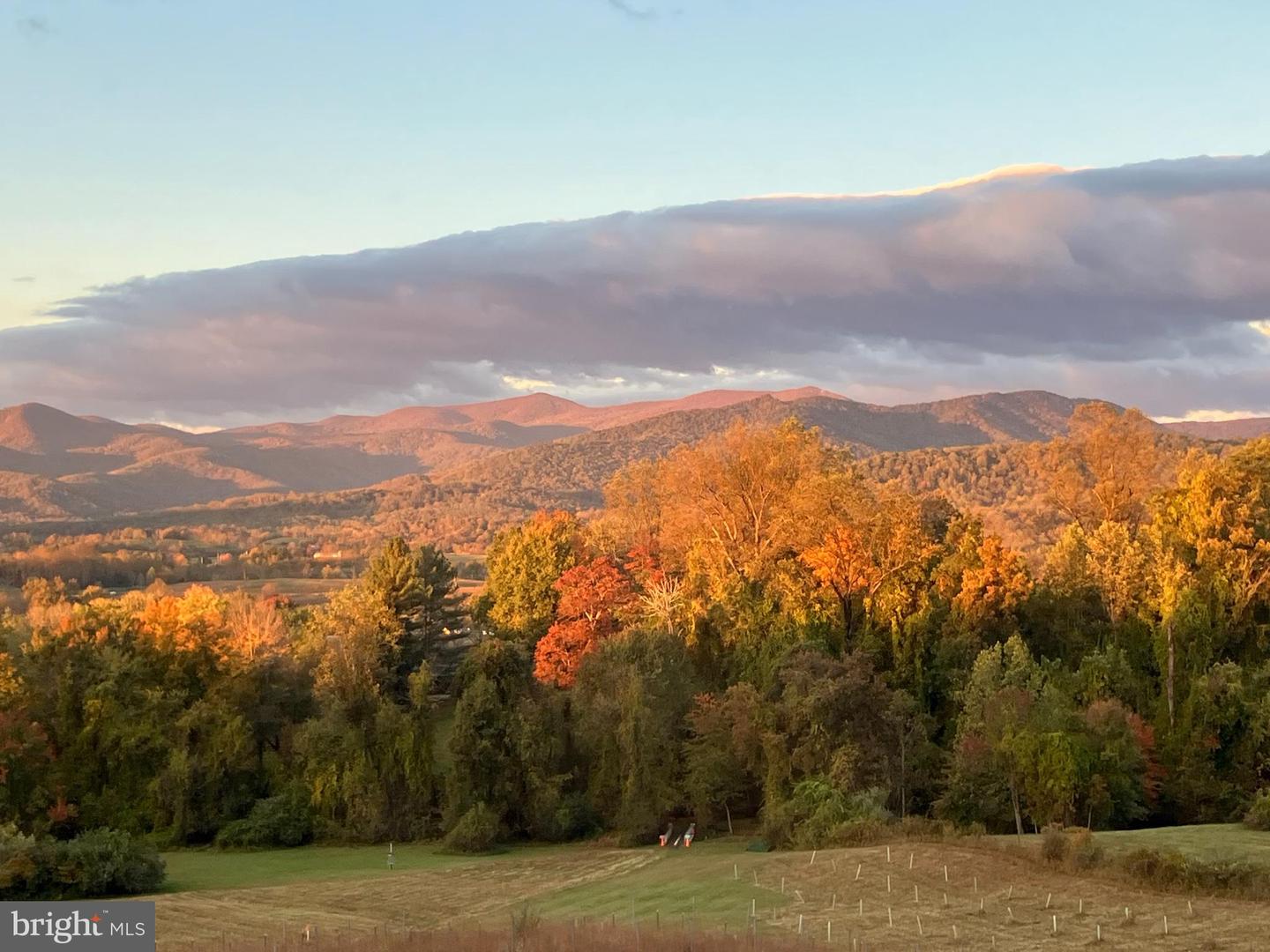 65 CLARK LN, WASHINGTON, Virginia 22747, 6 Bedrooms Bedrooms, ,10 BathroomsBathrooms,Residential,For Sale,65 CLARK LN,VARP2002418 MLS # VARP2002418 65 CLARK LN, WASHINGTON, Virginia 22747, 6 Bedrooms Bedrooms, ,10 BathroomsBathrooms,Residential,For Sale,65 CLARK LN,VARP2002418 MLS # VARP2002418