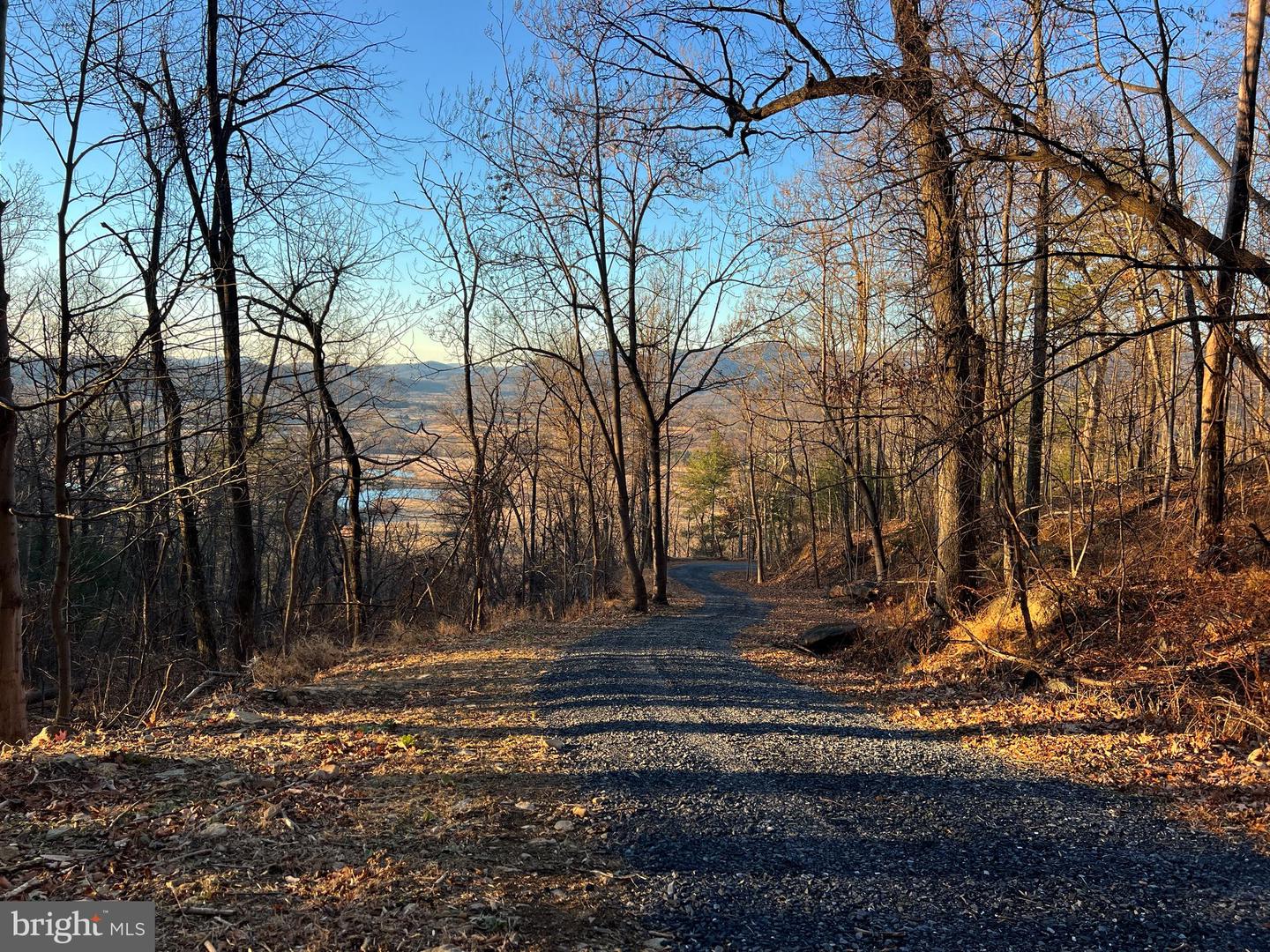 REDIVIVA LN, WASHINGTON, Virginia 22747, ,Farm,For Sale,REDIVIVA LN,VARP2002462 MLS # VARP2002462 REDIVIVA LN, WASHINGTON, Virginia 22747, ,Farm,For Sale,REDIVIVA LN,VARP2002462 MLS # VARP2002462