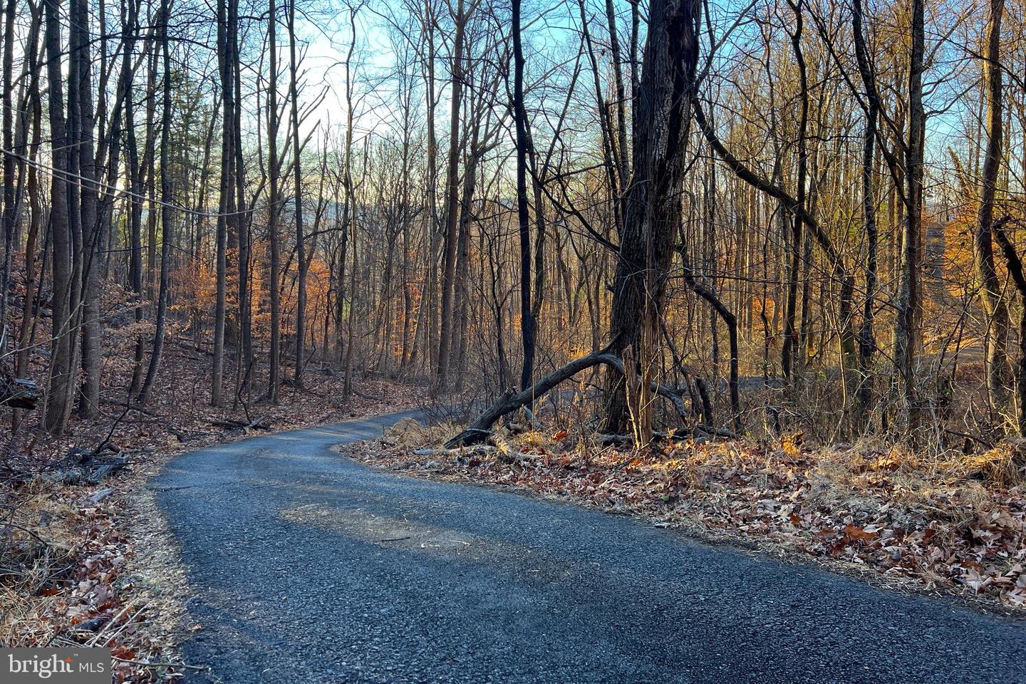 REDIVIVA LN, WASHINGTON, Virginia 22747, ,Farm,For Sale,REDIVIVA LN,VARP2002462 MLS # VARP2002462 REDIVIVA LN, WASHINGTON, Virginia 22747, ,Farm,For Sale,REDIVIVA LN,VARP2002462 MLS # VARP2002462