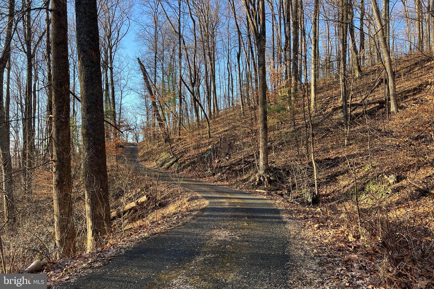 REDIVIVA LN, WASHINGTON, Virginia 22747, ,Farm,For Sale,REDIVIVA LN,VARP2002462 MLS # VARP2002462 REDIVIVA LN, WASHINGTON, Virginia 22747, ,Farm,For Sale,REDIVIVA LN,VARP2002462 MLS # VARP2002462