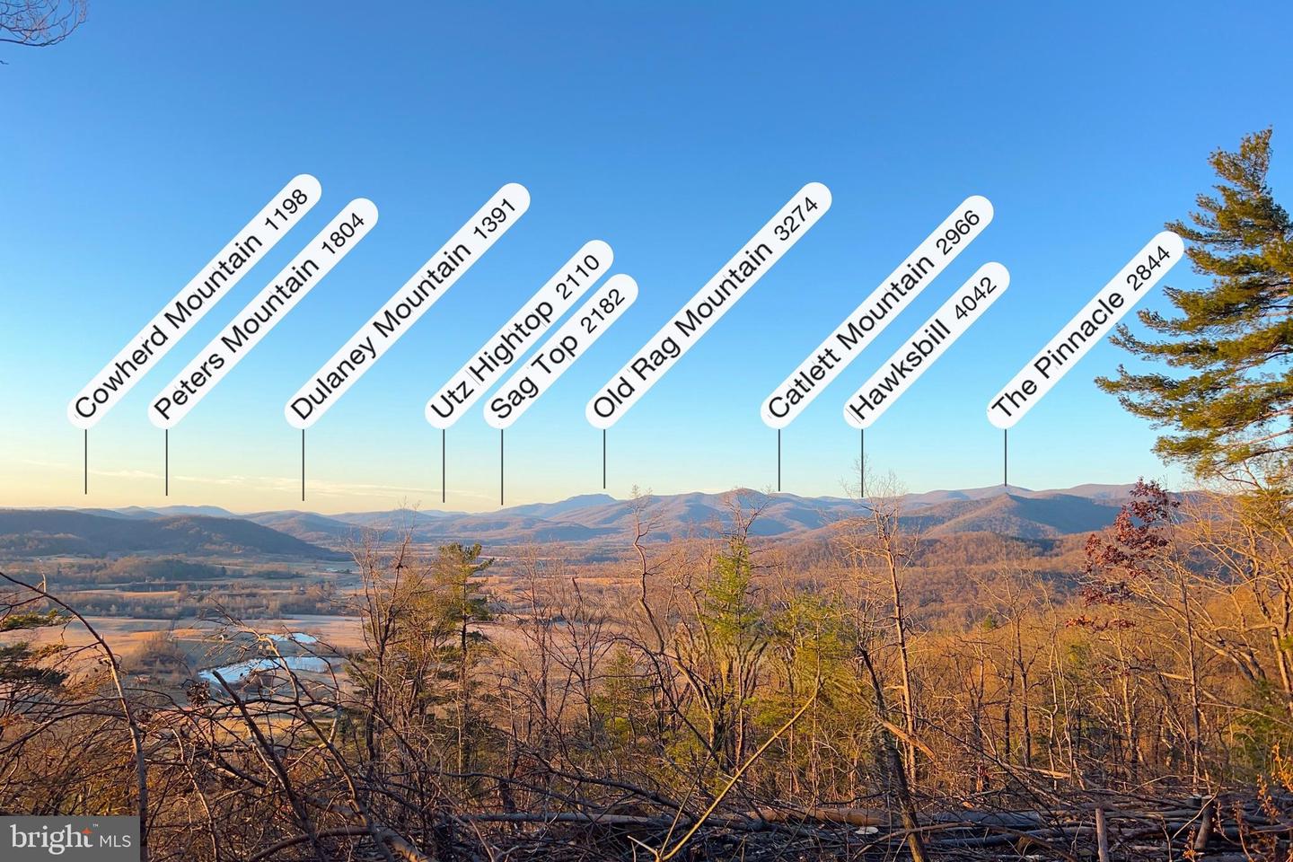 REDIVIVA LN, WASHINGTON, Virginia 22747, ,Farm,For Sale,REDIVIVA LN,VARP2002462 MLS # VARP2002462 REDIVIVA LN, WASHINGTON, Virginia 22747, ,Farm,For Sale,REDIVIVA LN,VARP2002462 MLS # VARP2002462