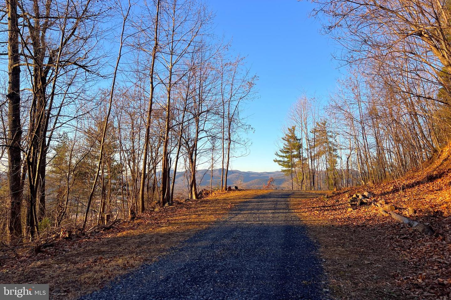 REDIVIVA LN, WASHINGTON, Virginia 22747, ,Farm,For Sale,REDIVIVA LN,VARP2002462 MLS # VARP2002462 REDIVIVA LN, WASHINGTON, Virginia 22747, ,Farm,For Sale,REDIVIVA LN,VARP2002462 MLS # VARP2002462