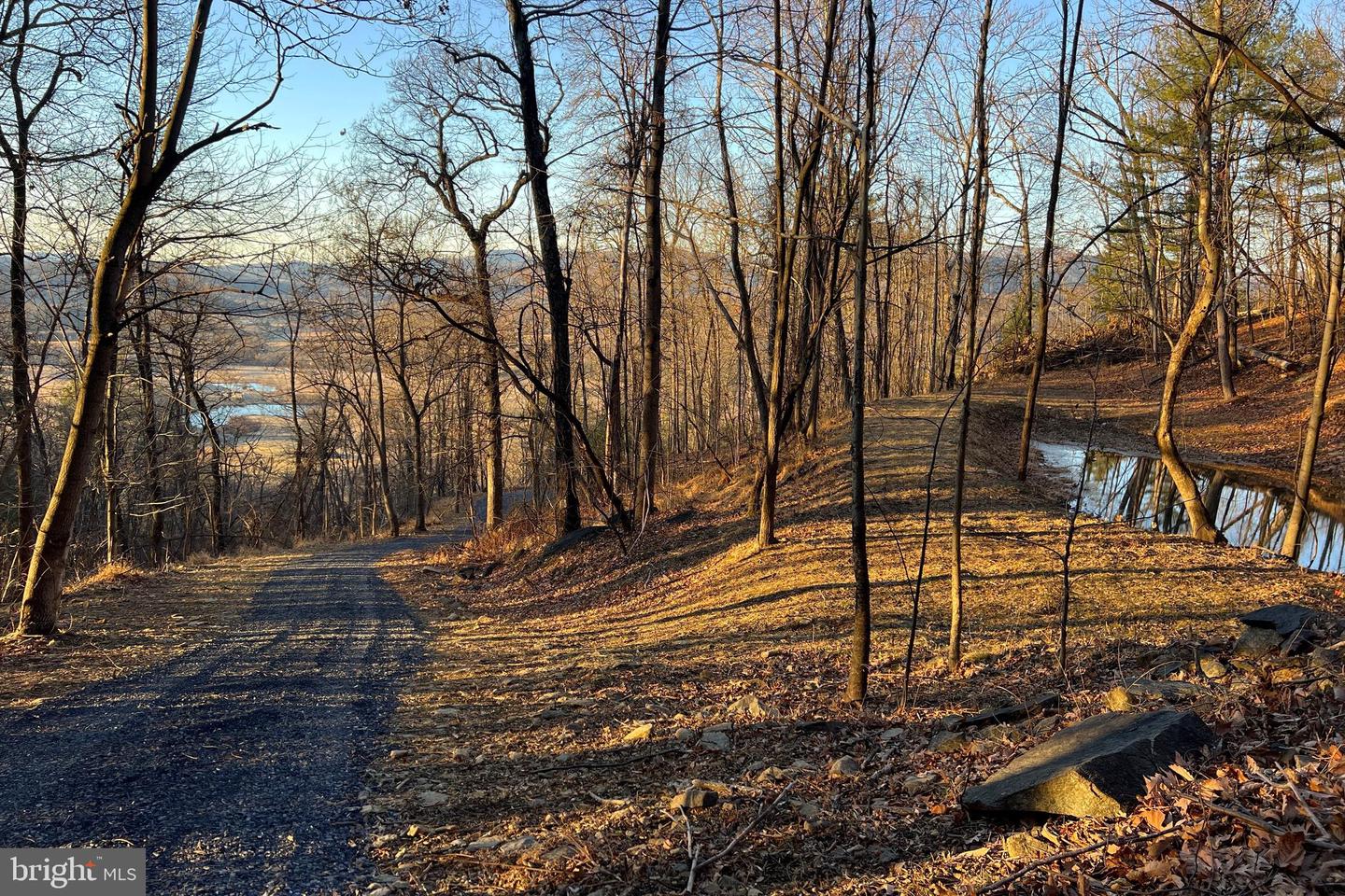 REDIVIVA LN, WASHINGTON, Virginia 22747, ,Farm,For Sale,REDIVIVA LN,VARP2002462 MLS # VARP2002462 REDIVIVA LN, WASHINGTON, Virginia 22747, ,Farm,For Sale,REDIVIVA LN,VARP2002462 MLS # VARP2002462