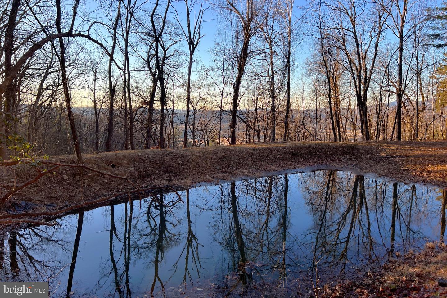 REDIVIVA LN, WASHINGTON, Virginia 22747, ,Farm,For Sale,REDIVIVA LN,VARP2002462 MLS # VARP2002462 REDIVIVA LN, WASHINGTON, Virginia 22747, ,Farm,For Sale,REDIVIVA LN,VARP2002462 MLS # VARP2002462