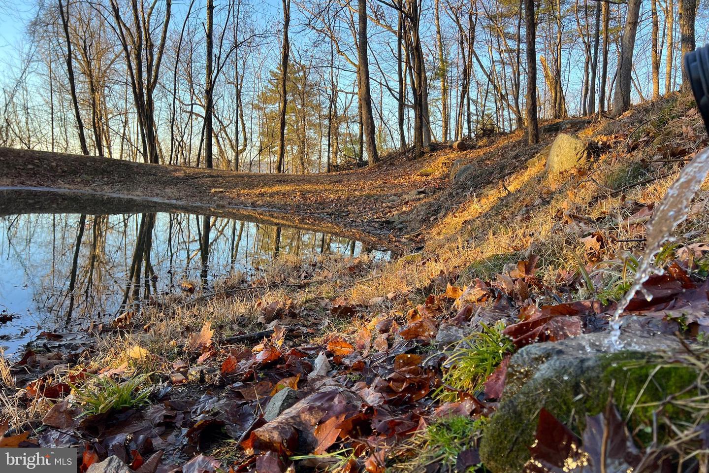 REDIVIVA LN, WASHINGTON, Virginia 22747, ,Farm,For Sale,REDIVIVA LN,VARP2002462 MLS # VARP2002462 REDIVIVA LN, WASHINGTON, Virginia 22747, ,Farm,For Sale,REDIVIVA LN,VARP2002462 MLS # VARP2002462