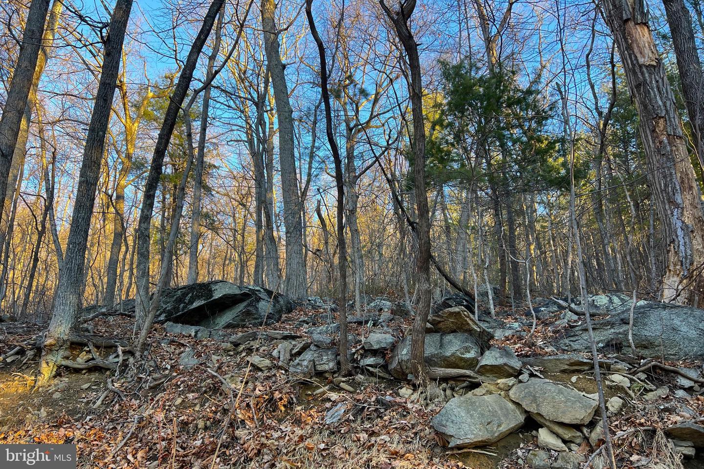 REDIVIVA LN, WASHINGTON, Virginia 22747, ,Farm,For Sale,REDIVIVA LN,VARP2002462 MLS # VARP2002462 REDIVIVA LN, WASHINGTON, Virginia 22747, ,Farm,For Sale,REDIVIVA LN,VARP2002462 MLS # VARP2002462