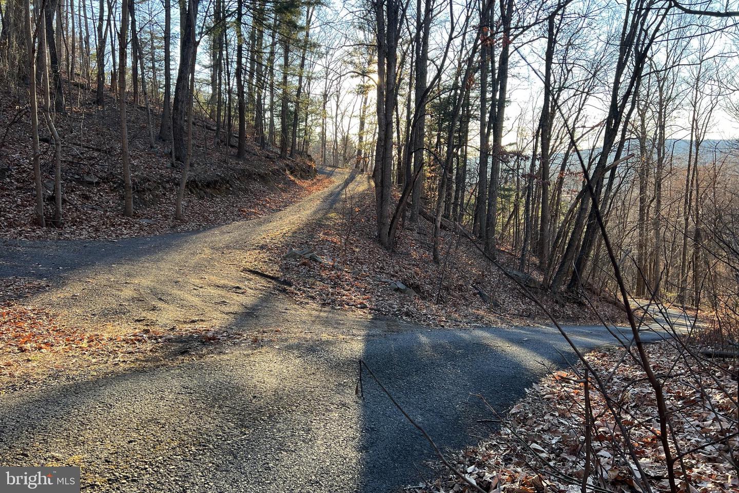 REDIVIVA LN, WASHINGTON, Virginia 22747, ,Farm,For Sale,REDIVIVA LN,VARP2002462 MLS # VARP2002462 REDIVIVA LN, WASHINGTON, Virginia 22747, ,Farm,For Sale,REDIVIVA LN,VARP2002462 MLS # VARP2002462