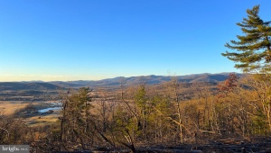 REDIVIVA LN, WASHINGTON, Virginia 22747, ,Farm,For Sale,REDIVIVA LN,VARP2002462 MLS # VARP2002462