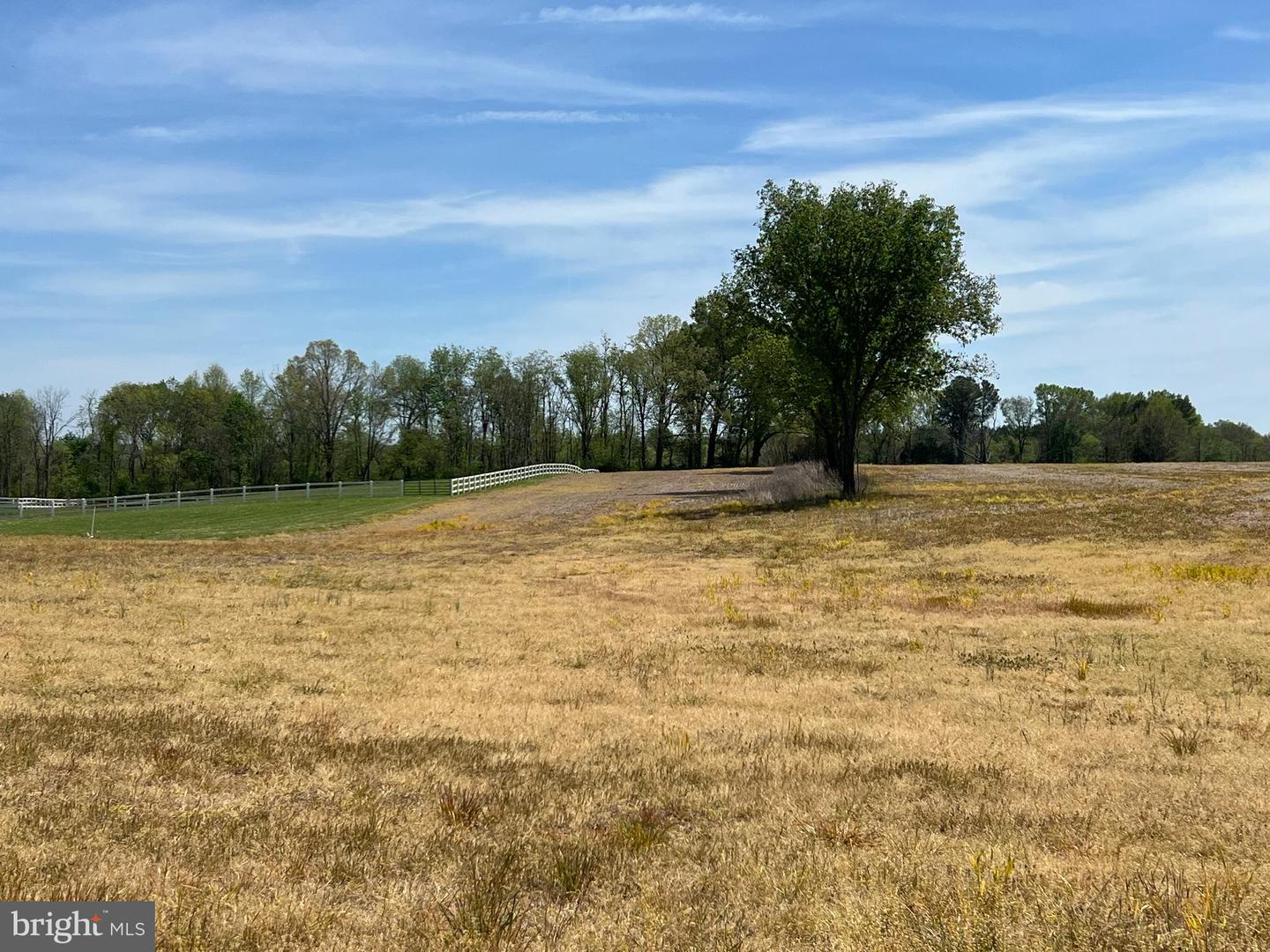 UNKNOWN, SCOTTSVILLE, Virginia 24590, ,Farm,For Sale,UNKNOWN,VAAB2001146 MLS # VAAB2001146 UNKNOWN, SCOTTSVILLE, Virginia 24590, ,Farm,For Sale,UNKNOWN,VAAB2001146 MLS # VAAB2001146