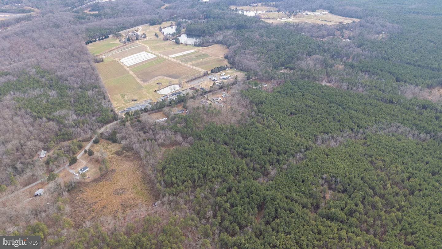 000 TELEGRAPH ROAD, RUTHER GLEN, Virginia 22546, ,Farm,For Sale,000 TELEGRAPH ROAD,VACV2009296 MLS # VACV2009296