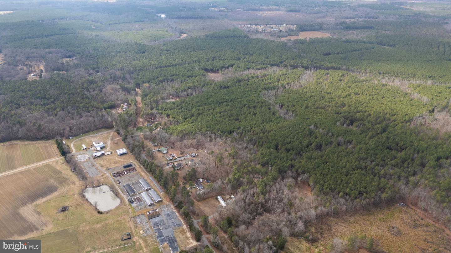 000 TELEGRAPH ROAD, RUTHER GLEN, Virginia 22546, ,Farm,For Sale,000 TELEGRAPH ROAD,VACV2009296 MLS # VACV2009296