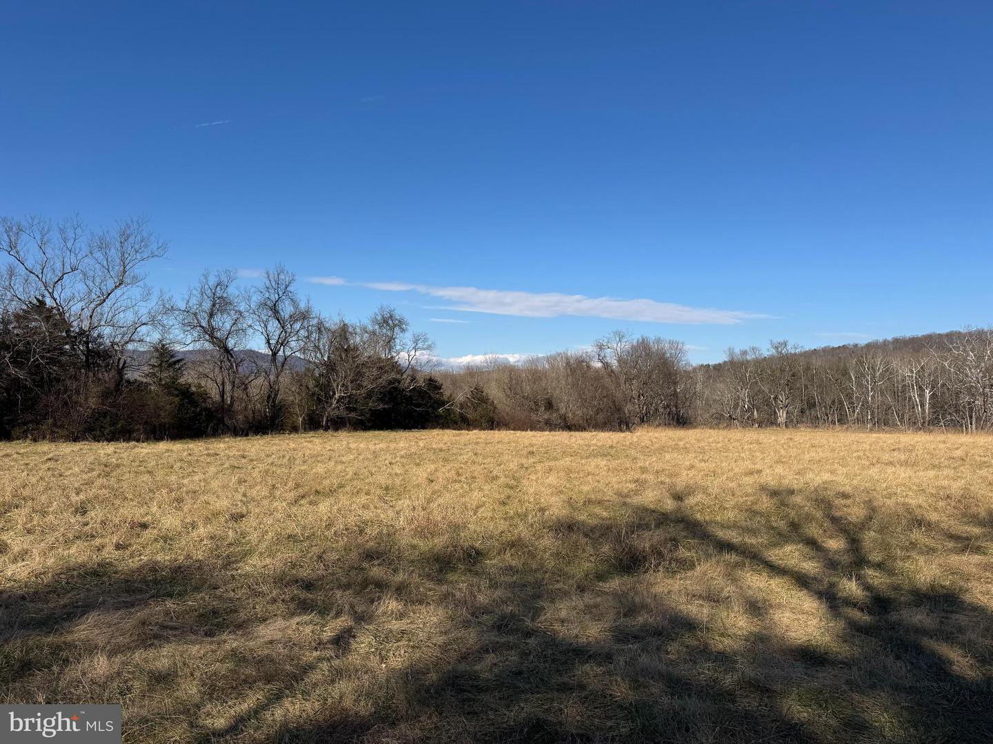 326 THUNDERBIRD RD, BENTONVILLE, Virginia 22610, ,Farm,For Sale,326 THUNDERBIRD RD,VAWR2013164 MLS # VAWR2013164 326 THUNDERBIRD RD, BENTONVILLE, Virginia 22610, ,Farm,For Sale,326 THUNDERBIRD RD,VAWR2013164 MLS # VAWR2013164